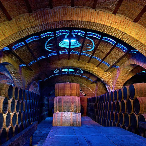 CIRCUITO DEL TEQUILA